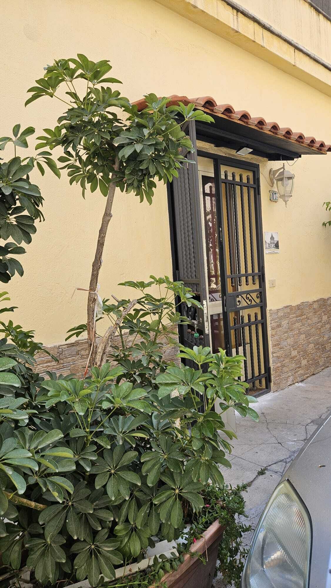 A yellow building with a black gate, a small tree, and a planter with green foliage.