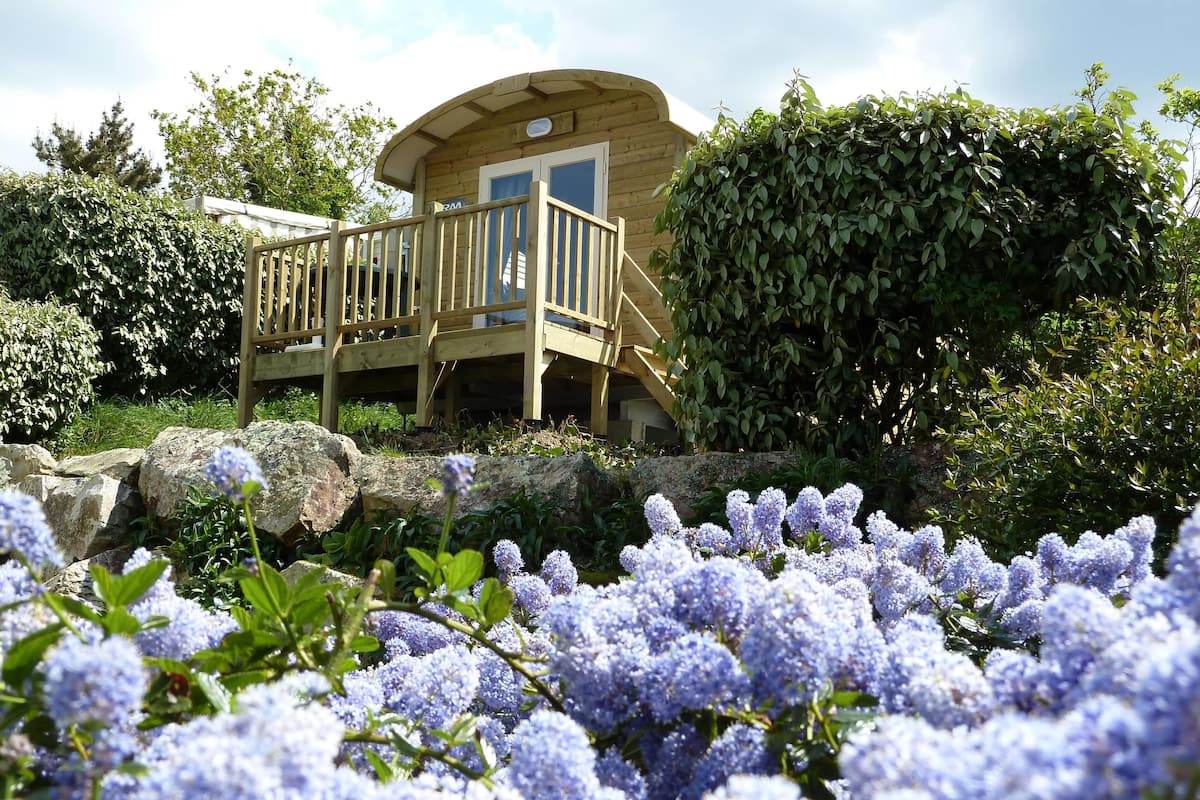 A wooden cabin with a deck, surrounded by lush greenery and purple flowers.