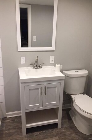 Combined shower/bathtub, hair dryer, towels, toilet paper - Mountain House close to Skiing / Hiking (Idaho Springs)