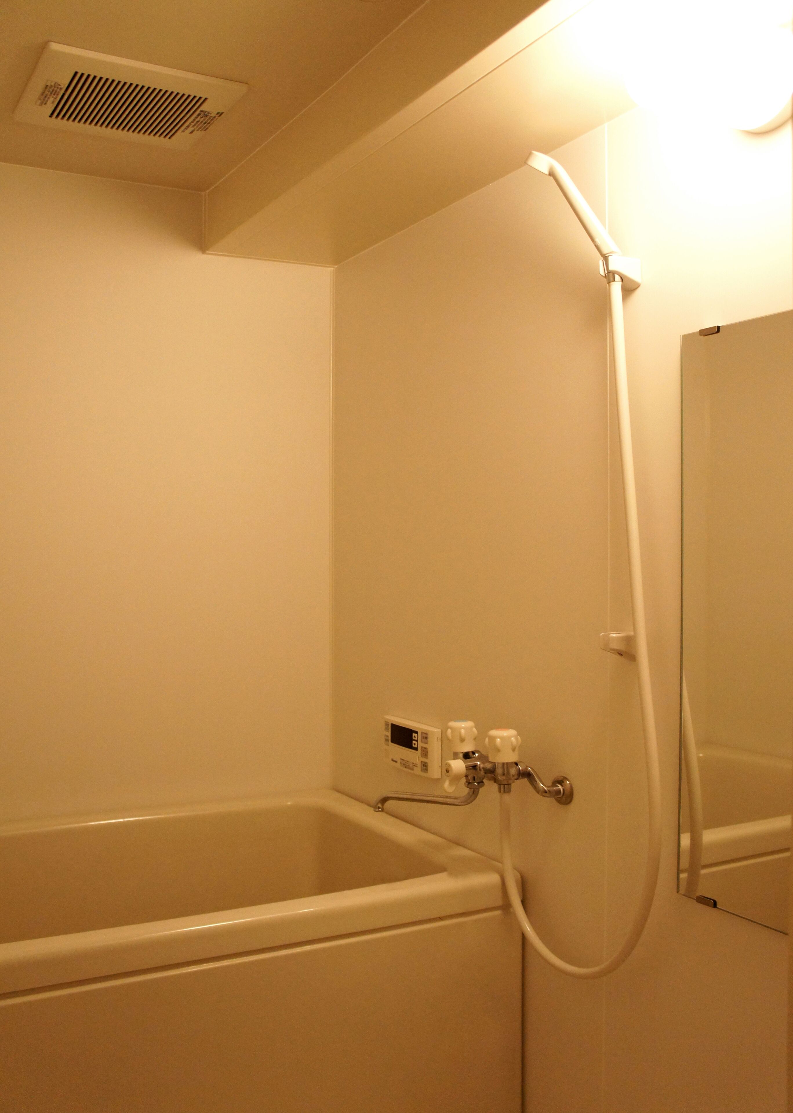 A bathroom with a bathtub, a shower, and a wall-mounted mirror.