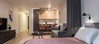 Modern apartment “Laisve” is located in the center of Druskininkai.