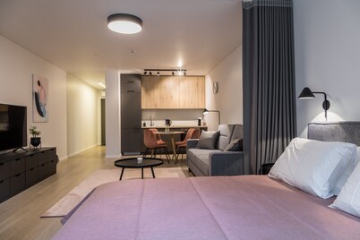 Modern apartment “Laisve” is located in the center of Druskininkai.