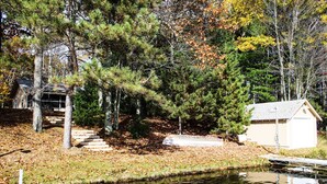 A cabin surrounded by trees and a small dock.