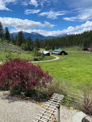 Área da propriedade