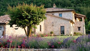 A stone building with a tiled roof, surrounded by a garden with lavender and other flowers. - VILLA AMANTA - Nine Bedroom Villa, Sleeps 16 (Perugia)