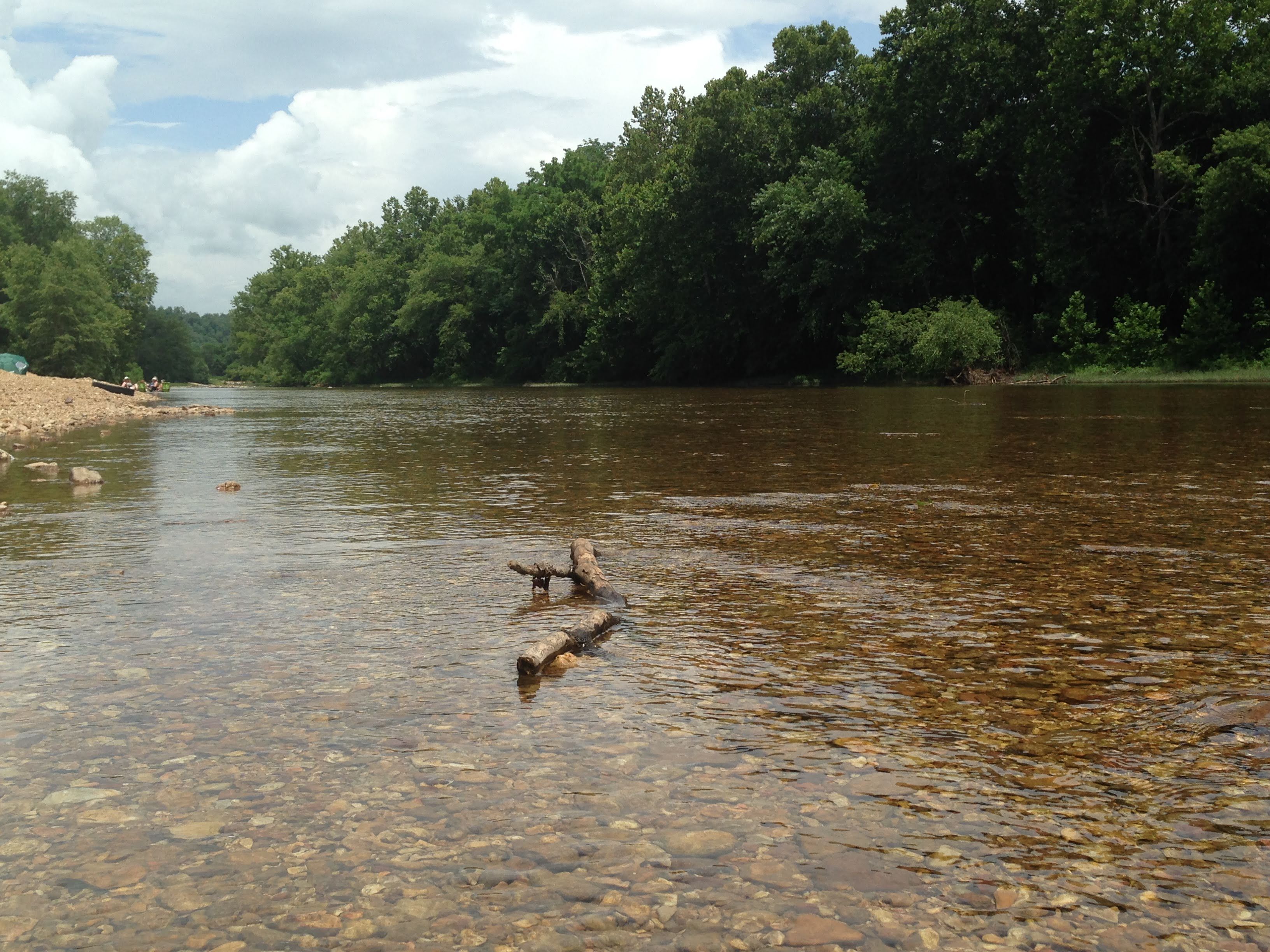 A river with clear water, surrounded by dense green trees.