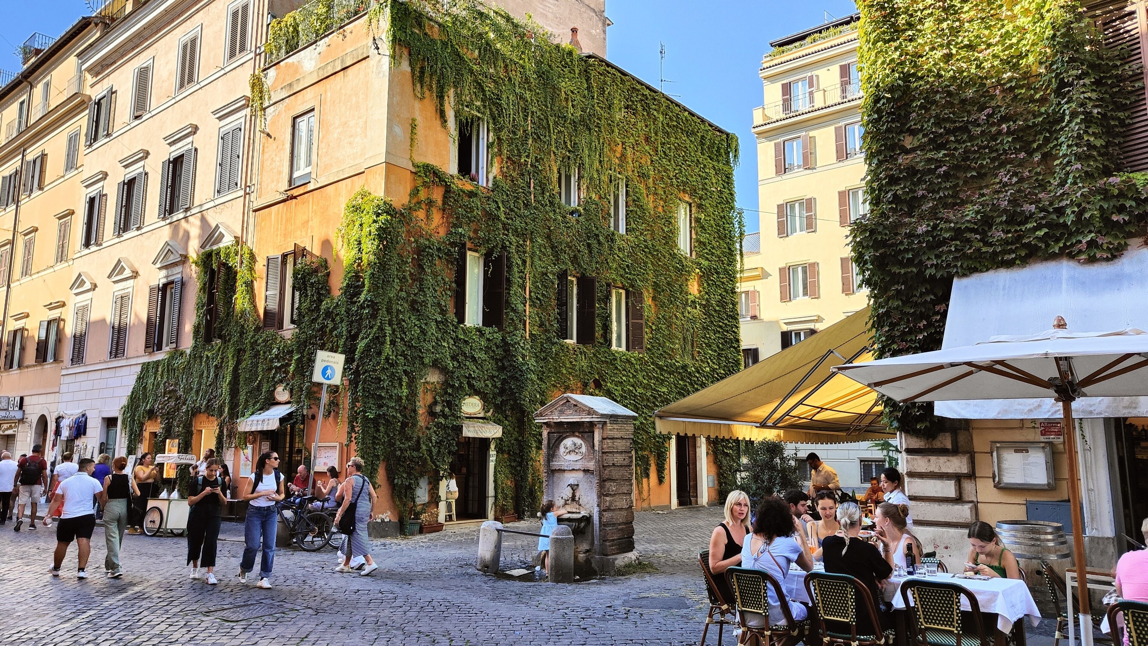 Restauration en plein air