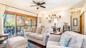 TV, fireplace, DVD player, table tennis