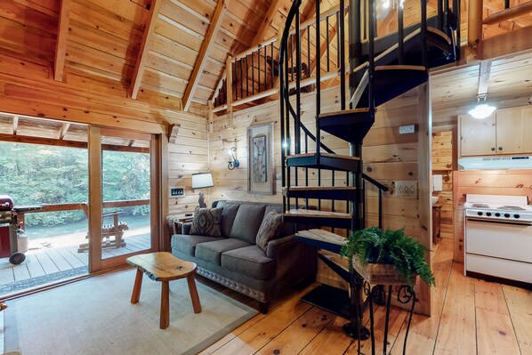 TV, fireplace, DVD player