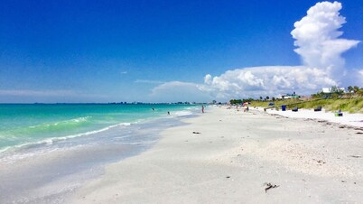 Explore St. Pete! Bikes Included, Prime Spot
