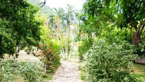 Un sendero de piedra en un jardín con exuberante vegetación y árboles.