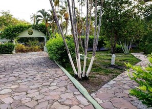 Un camino pavimentado que conduce a un área techada con un emblema circular, rodeada de exuberante vegetación y palmeras.