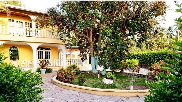 Un patio con un edificio amarillo, un sendero de piedra y diversas plantas.