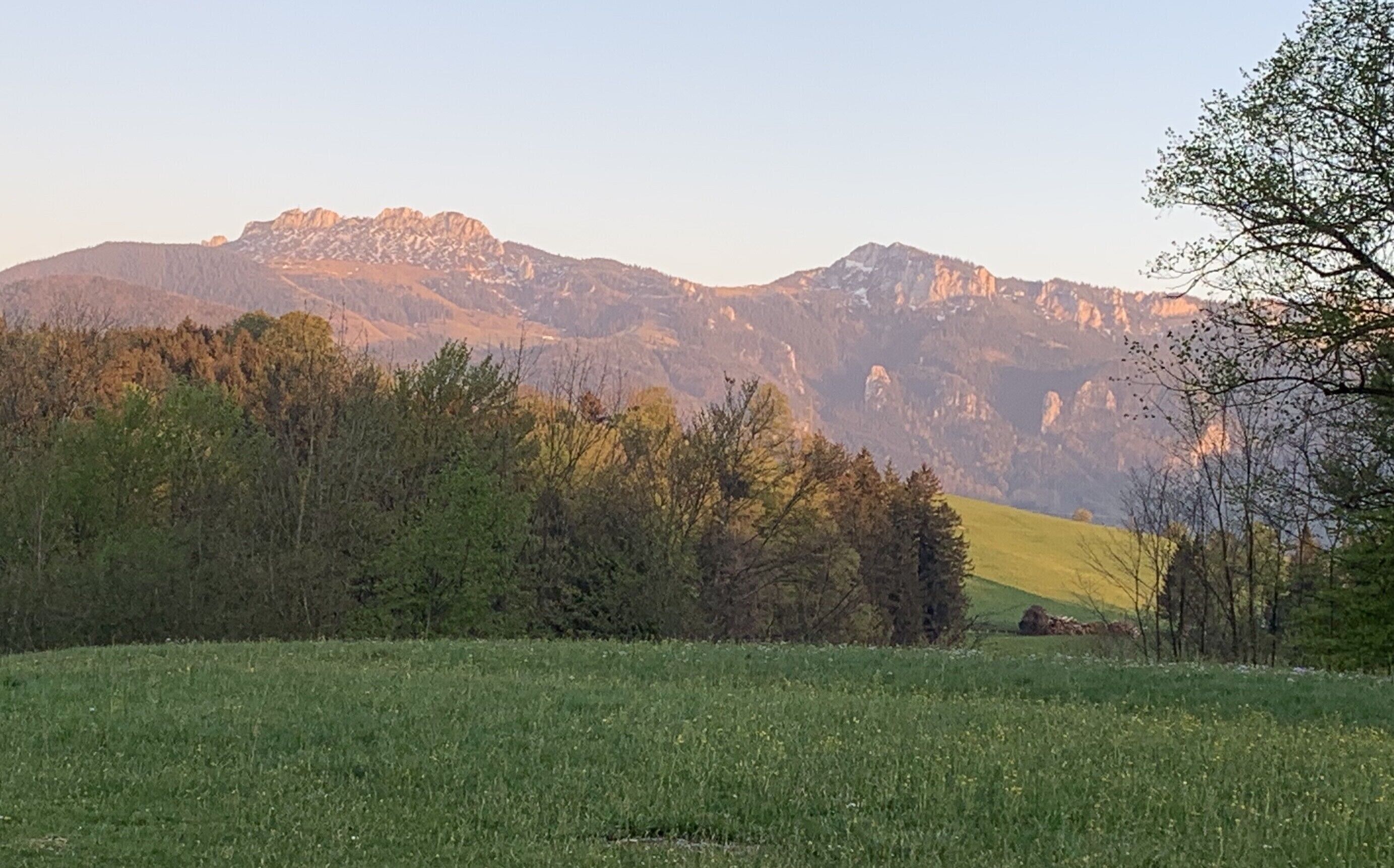 Eine Berglandschaft mit einer grünen Vordergrundwiese und einem Baum rechts.