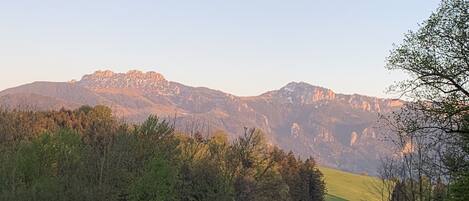 Eine Berglandschaft mit einer grünen Vordergrundwiese und einem Baum rechts.