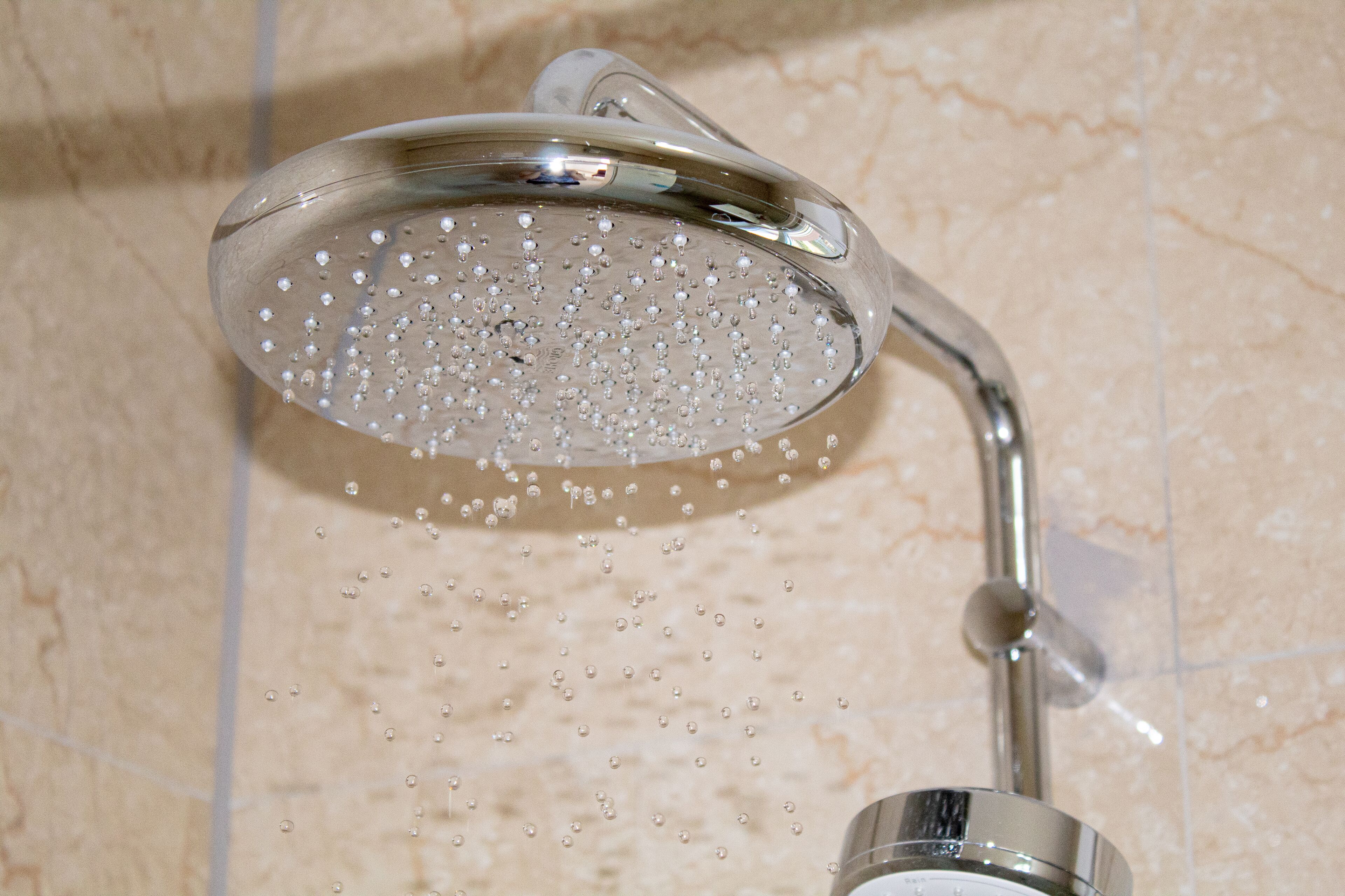 Pomme de douche portative