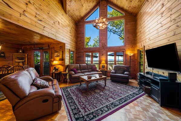 TV, fireplace, video games, video library