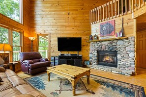 TV, caminetto, videogiochi, videoteca