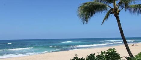 In Strandnähe, Liegestühle, Strandtücher