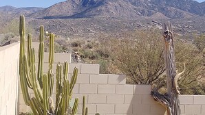 A desert landscape with cacti and a mountain range in the background. - Unobstructed mountain views (Tucson)