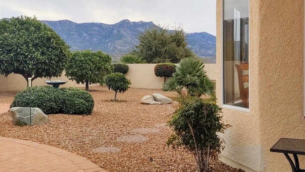 A landscaped garden with various shrubs and a stone pathway leading to a building with a large window. - Unobstructed mountain views (Tucson)
