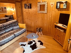 TV, DVD player, books - Stay in the heart of the northern alps (Le Bouchet mont charvin)