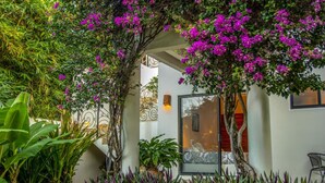 A garden with bougainvillea vines, a potted plant, and a glass door leading to a room with a bed and a window. - Vista Hermosa (Santa María Huatulco)