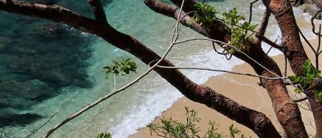 Villa, Multiple Beds (1086 - Villa Encantada) | Beach