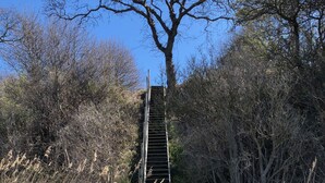 Eine Holztreppe führt auf einen sandigen Pfad, umgeben von trockener Vegetation und Bäumen.