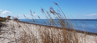 Beach House. 40 meter fra stranden. 6 personer. Water sport