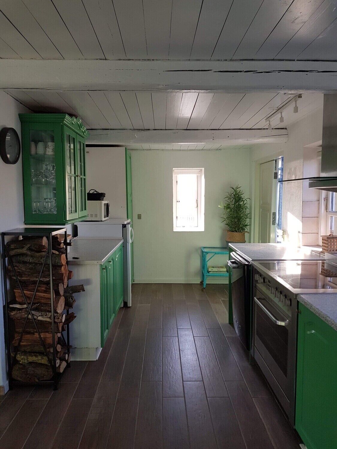 A kitchen with green cabinets, a microwave, a stove, and a sink. There is a window with natural light and a plant on a small table.