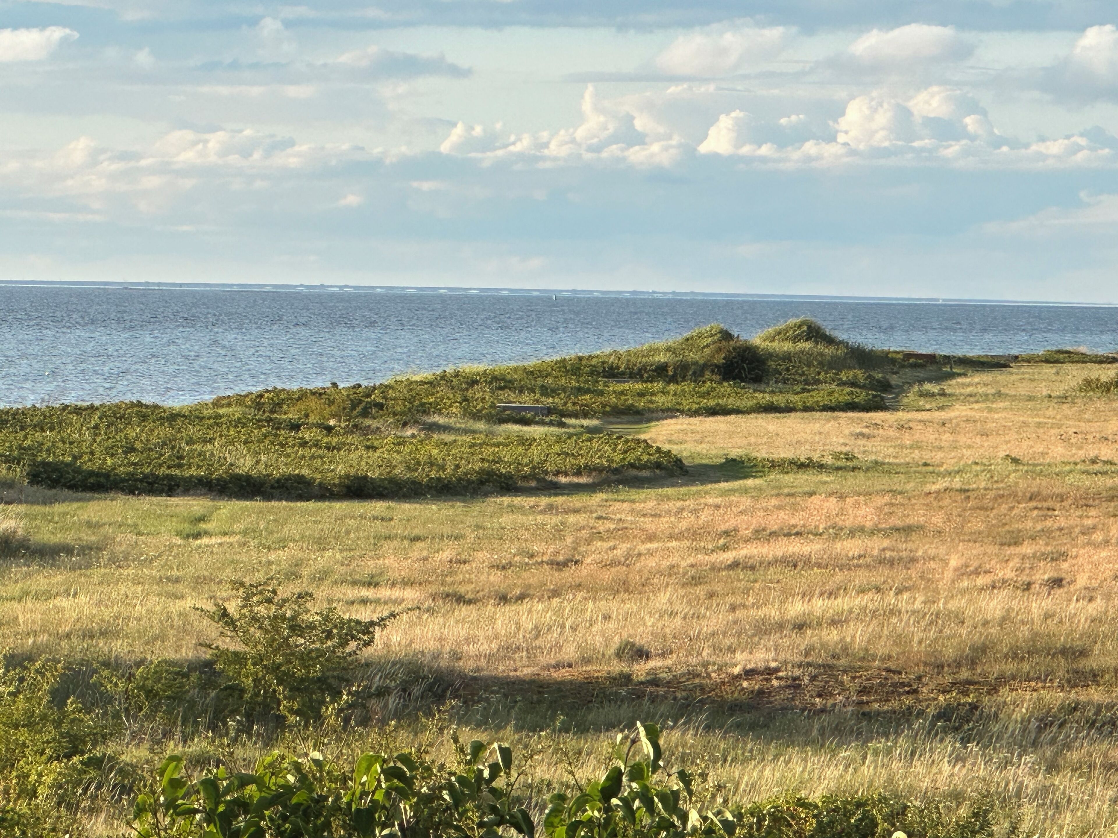 A coastal landscape with grassy fields, shrubs, and a view of the ocean.
