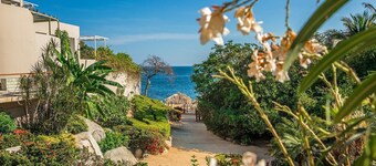 Eleven by Cosmo 11c3