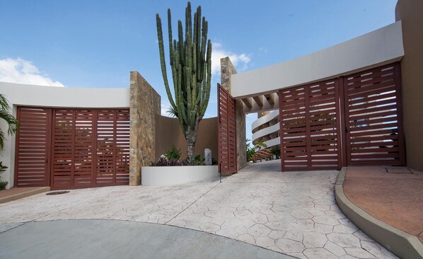 A modern building with a large cactus in the center, surrounded by a paved courtyard with hexagonal tiles.