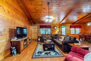 Televisio, takka, DVD-soitin, kirjoja