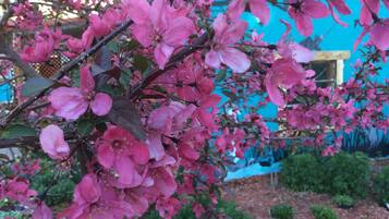 DĂ©tail de lâextĂ©rieur