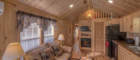 TV, fireplace