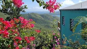 A view of a lush garden with vibrant pink bougainvillea flowers and a teal building with multiple windows. - New listing!  Amazing sunrises and ocean views (St John)