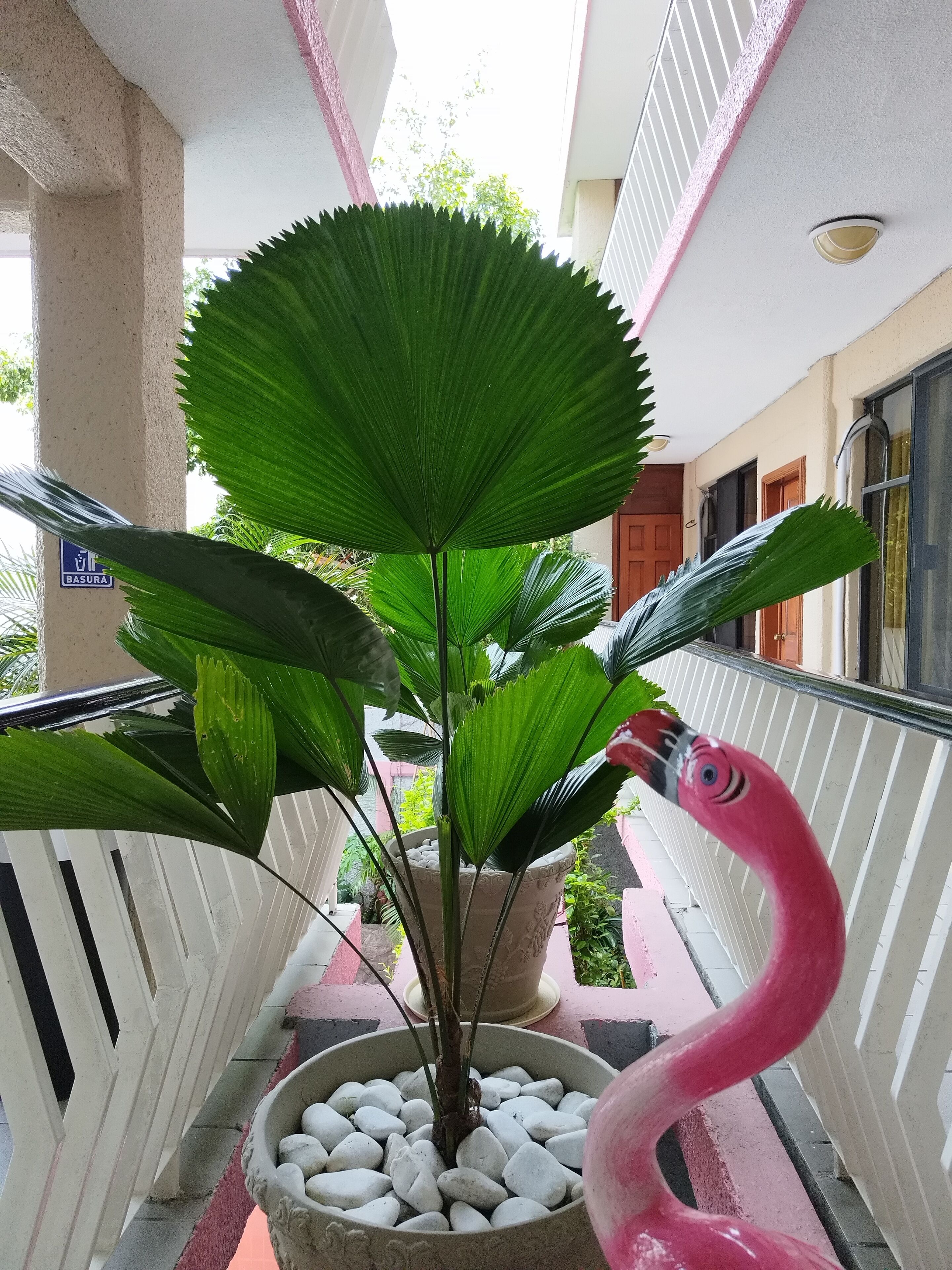 Pasillos con baranda