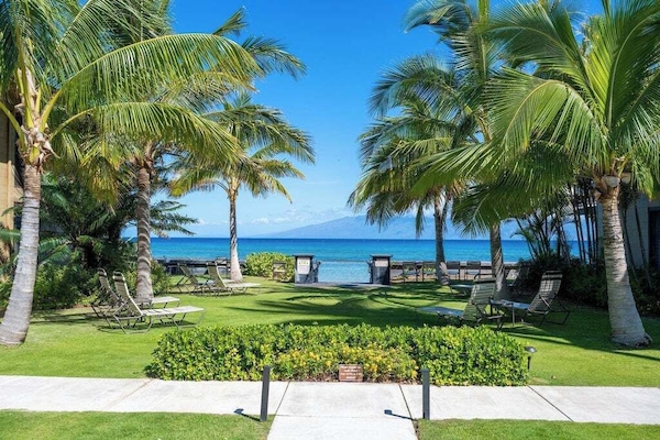 Maui Sands grounds, seawall and access to the ocean.