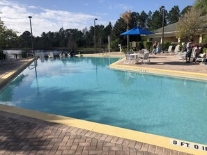 A rectangular swimming pool with a yellow safety border, surrounded by lounge chairs and umbrellas.