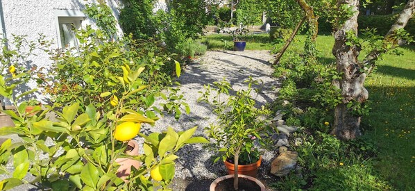 Boendeområde