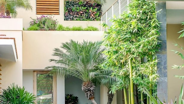 A modern building with a courtyard featuring various plants and a central seating area. - Villamar 101 (Santa María Huatulco)