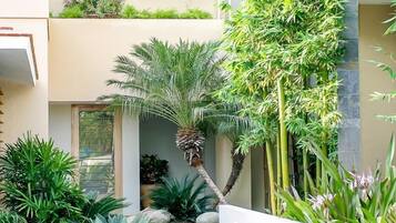 Condo, 1 cama King size (1059 - Villamar 101) | Áreas de la propiedad