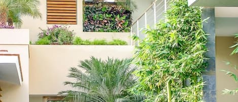 Condo, 1 cama King size (1059 - Villamar 101) | Áreas de la propiedad