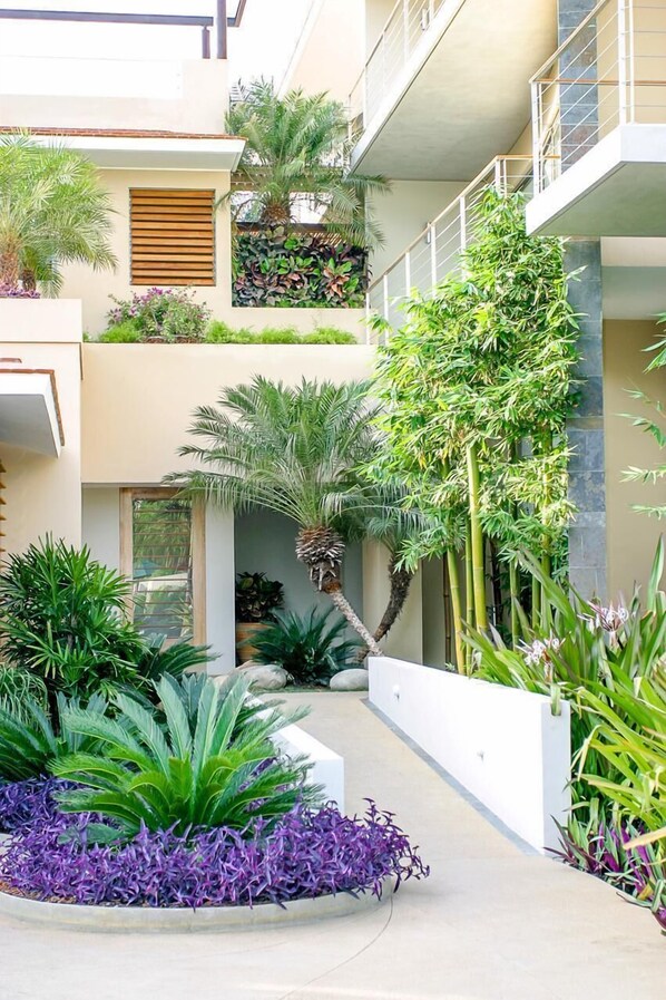 Condo, 1 cama King size (1059 - Villamar 101) | Áreas de la propiedad