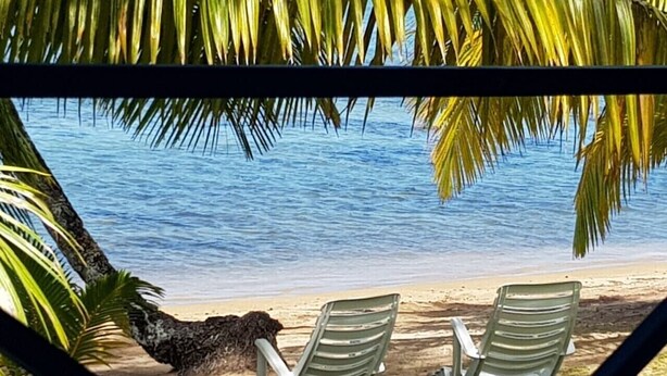 A beach scene with two lounge chairs and a palm tree. - Beautiful house on white sand beach (Tahiti)