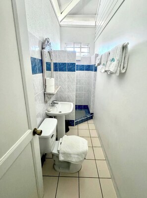 Shower, hair dryer, towels, soap