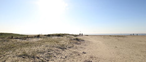 Ligstoelen aan het strand