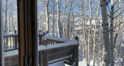 Nicely renovated apartment close to all that Steamboat has to offer!